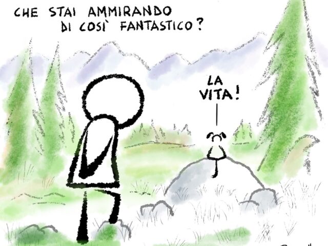 La Vita: un enigma a molteplici incognite